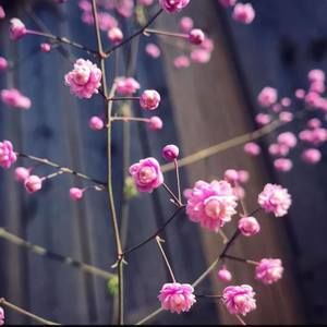 Meet your Posher, Nadia